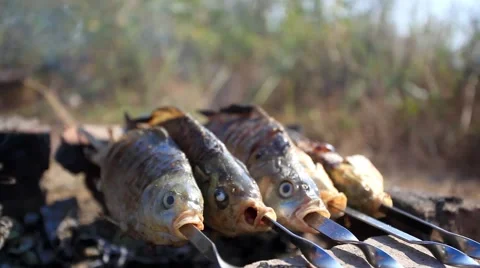 Process of fish preparation. Fish grilling on a barbecue in outdoor Stock Footage 51672827