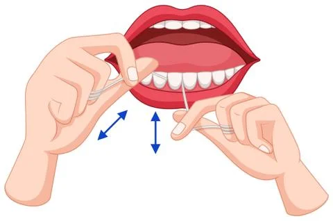 Process of flossing teeth Stock Illustration