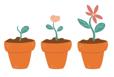 Process of flower growth. Vector image of three stages of growth of a beautif イラスト素材