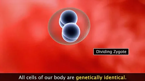 Process of formation of zygote Stock Footage 322543603