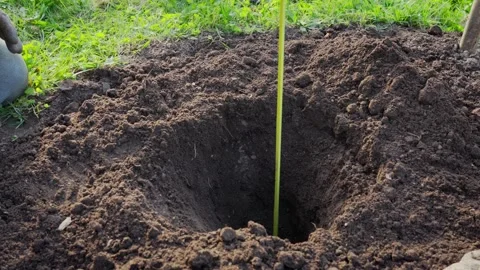 Process of a gardener measuring the depth of a dug bed with a tape measure Stock Footage 274791525