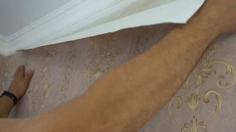 The process of gluing Wallpaper on the wall,the hand of the worker is smooth Stock Footage 79595911