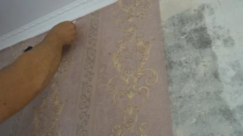 The process of gluing Wallpaper on the wall,the hand of the worker to smooth  Stock Photos