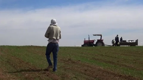 The process of grain seeding is captured as farmers spread, stock footage. Stock Footage 304865804