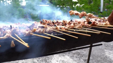 The process of grilling chicken satay over coals made of wood and coconut s.. Stock Footage 243573339