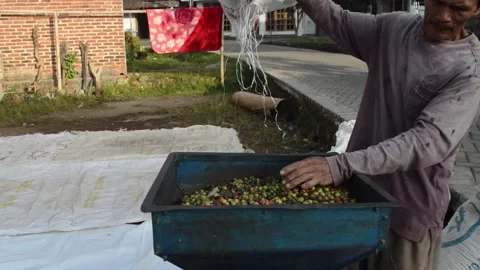 The process of grinding coffee Stock Footage 279523692