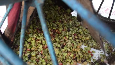 The process of grinding coffee Video stock 279523693