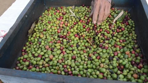 The process of grinding coffee Stock Footage 279523710