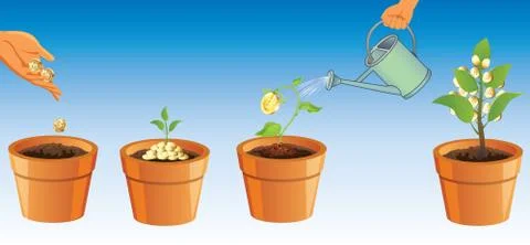Process of growing money tree Stock Illustration