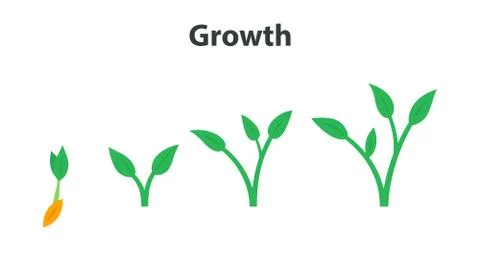 The process of growing plants. Stages and timeline infographic of planting tree. Stock Illustration