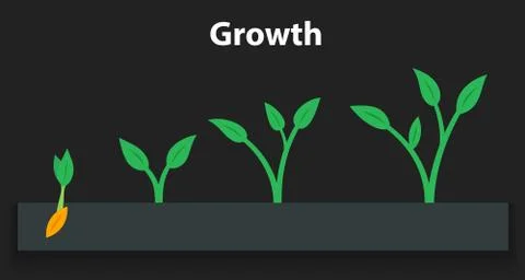 The process of growing plants. Stages and timeline infographic of planting tree. Stock Illustration