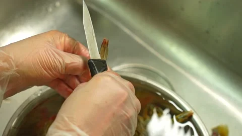 Process of hand cleaning and peel shrimps shell. Woman cleaning raw king sh.. Stock Footage 232869539