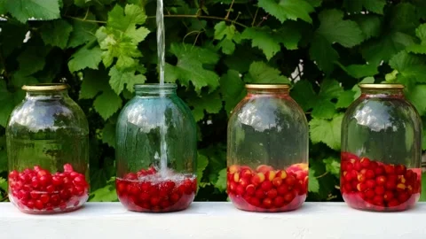 The process of homemade preparation of cherry compotes. Stock Footage 172059467