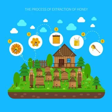 Process Of Honey Extraction Concept Stock Illustration