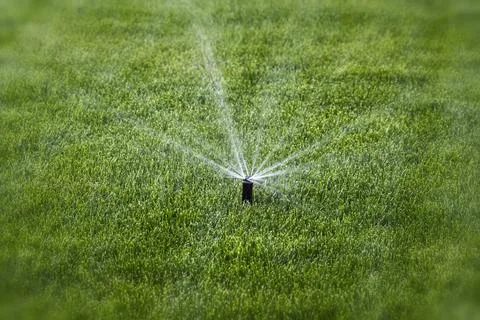 The process of irrigation Stock Photos