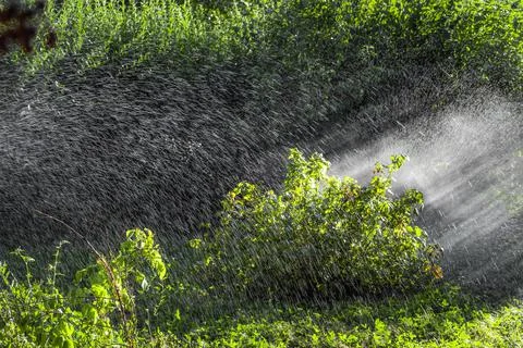 The process of irrigation Stock Photos