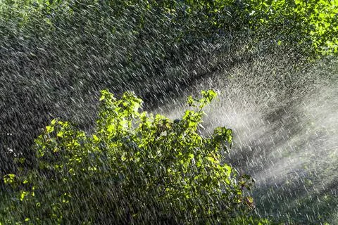 The process of irrigation Stock Photos
