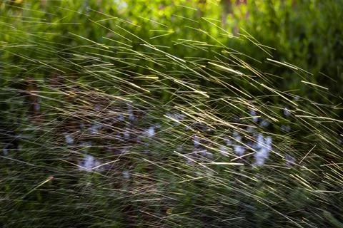 The process of irrigation Stock Photos
