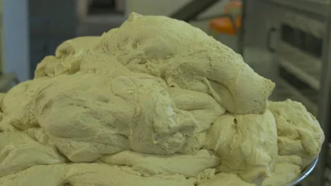 The process of kneading dough in a bakery. Video stock 236059047
