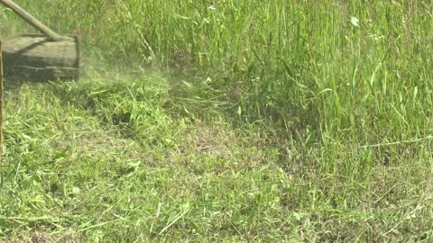 Process of lawn trimming with hand mower Video stock 182075826