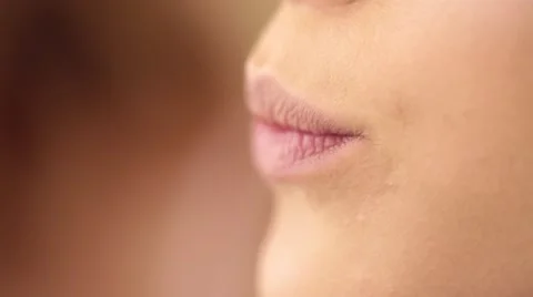 Process of lips make up with a paintbrush Stock Footage 67828177