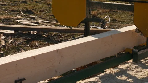 Process of machining logs in equipment sawmill machine Video stock 120055058
