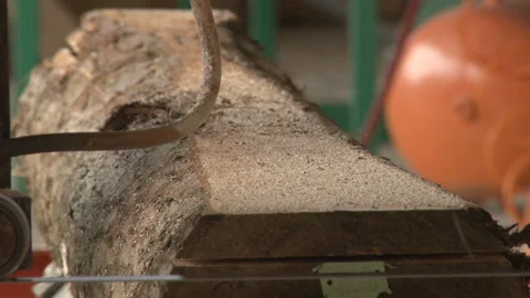 Process of machining logs in equipment sawmill machine Video stock 148305850