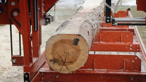 Process of machining logs in equipment sawmill machine saw saws the tree trunk Stock Footage 168102795