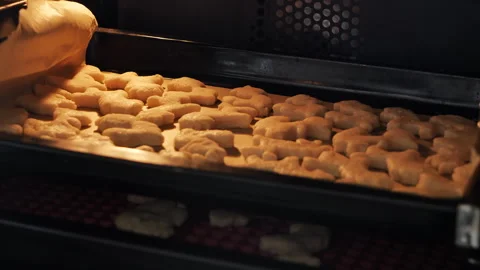The process of making baked goods in the form of different animals. Stock Footage 273864269