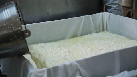 The process of making cheese - bale out the curds Stock Footage 154386248
