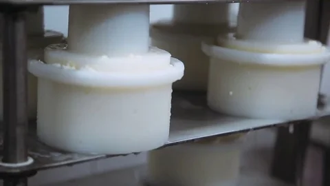 Process of making cheese Stock Footage 69221523