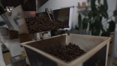 The Process of Making Coffee Stock Footage 110912700