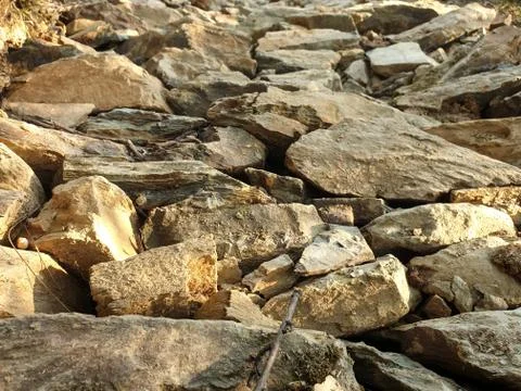Process of making concrete pathway for walking Stock Photos