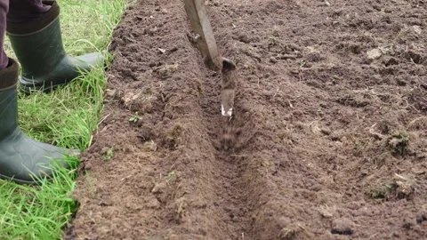 The process of making a ditch with a fokin flat cutter in slow motion Stock Footage 144450572