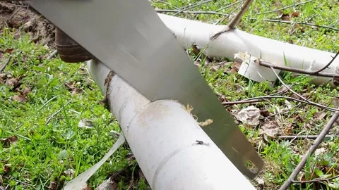The process of making firewood for the winter. Stock Footage 194951908