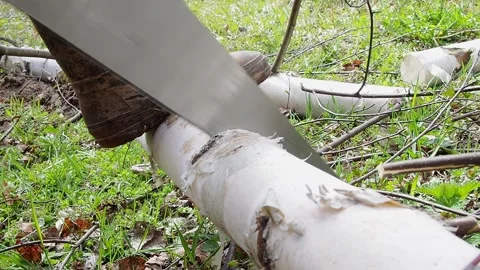 The process of making firewood for the winter. Stock Footage 194951925
