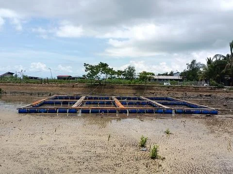 The process of making fish cages. Stock Photos