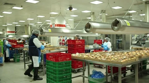 The process of making food at Emirates Flight Catering's Vidéo 133185107