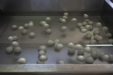 Process of making fresh white soft mozzarella cheese on small cheese farm in  Stock Photos