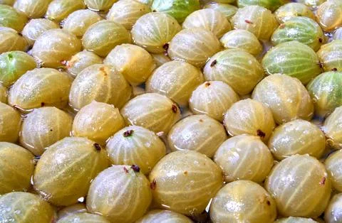 The process of making gooseberry jam is covered with sugar Stock Photos