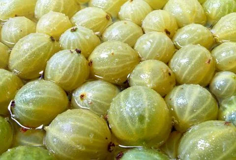 The process of making gooseberry jam is covered with sugar Stock Photos