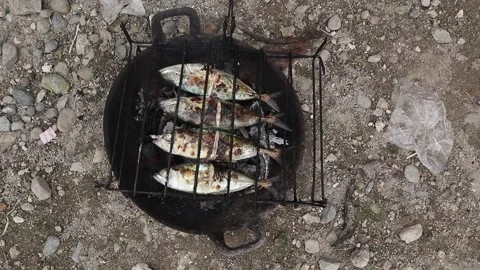The process of making grilled fish that is burned over coconut shell coals Stock Footage 231077876