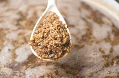 Process of making home beer from malt. Kraft beer from barley and dark malt Stock Photos