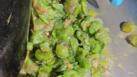 The process of making homemade grape wine. A winemaker collects grape pulp from  Stock Footage 288630719