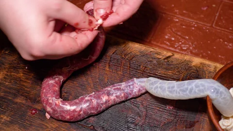 The process of making homemade sausages Stock Footage 252068112