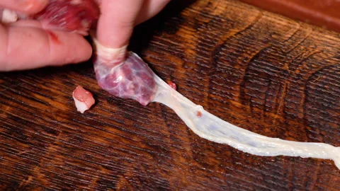The process of making homemade sausages Stock Footage 252068730