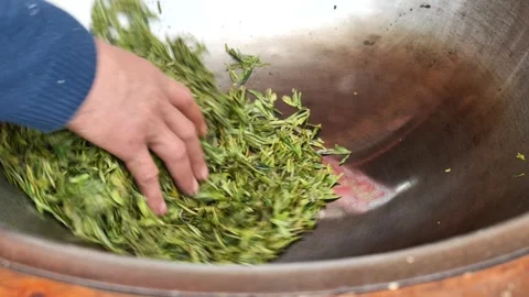 The process of making longjing green tea by hands Stock Footage 308977066