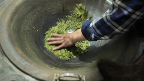 The process of making longjing green tea by hands Stock Footage 311585585