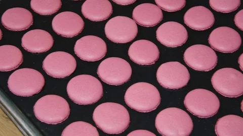 The process of making macaroni products Stock Footage 93020547