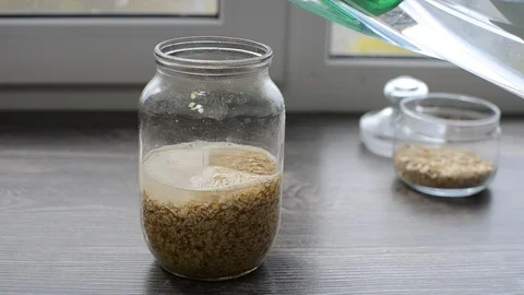 Process of making oat milk Stock Footage 89726546